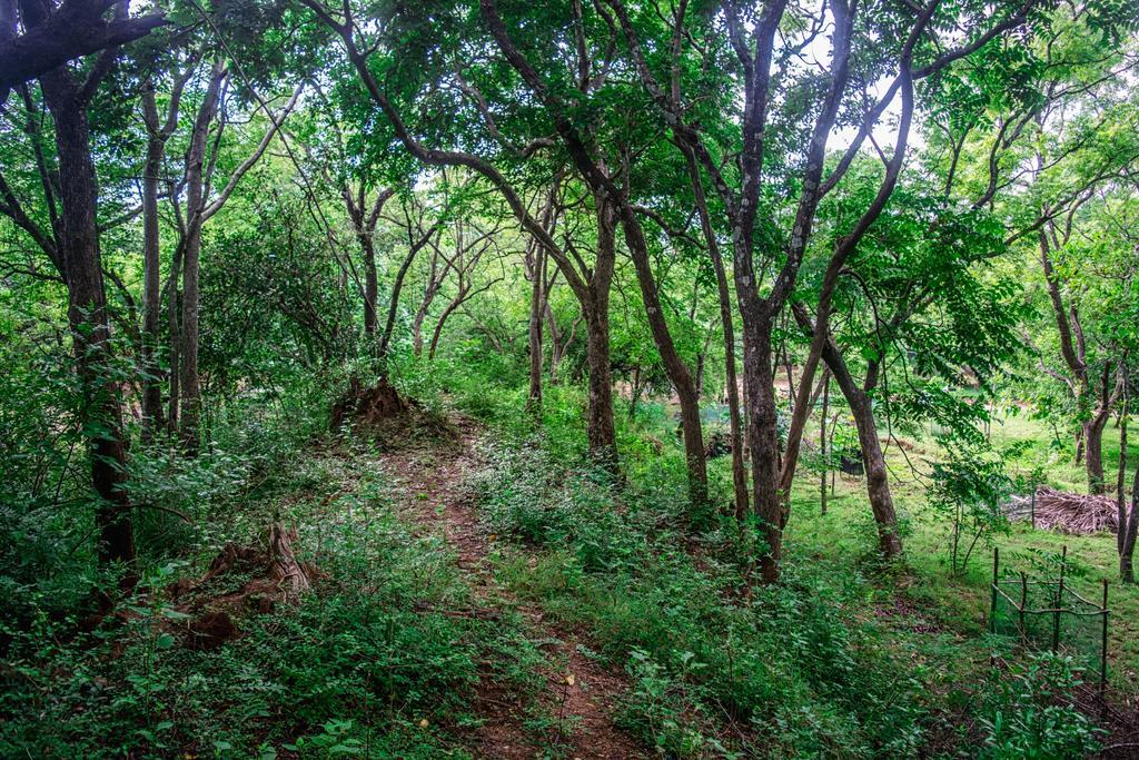 הוילה Wildescape פולונרואה מראה חיצוני תמונה